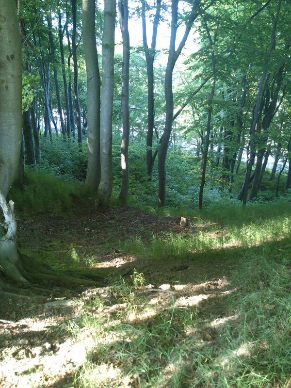 DSC_0077.JPG