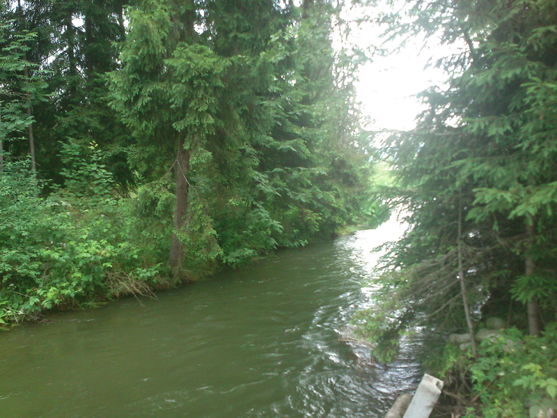 DSC_0081.JPG