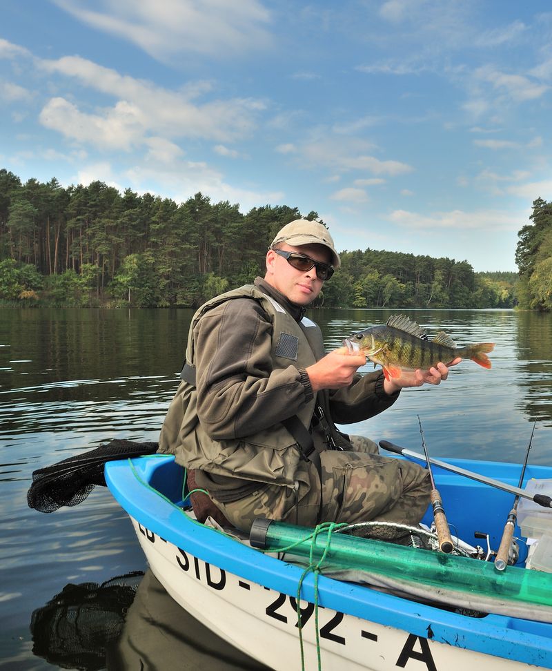 okazały okoń.s.jpg