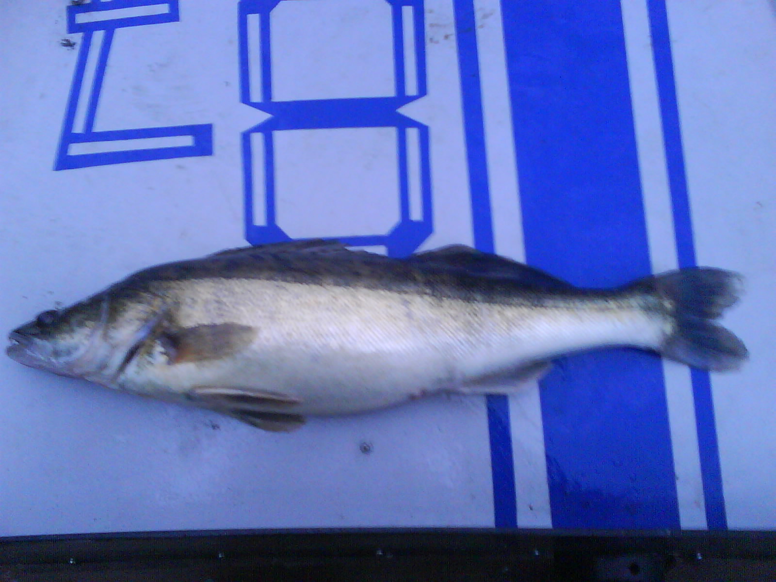 DSC00014.JPG