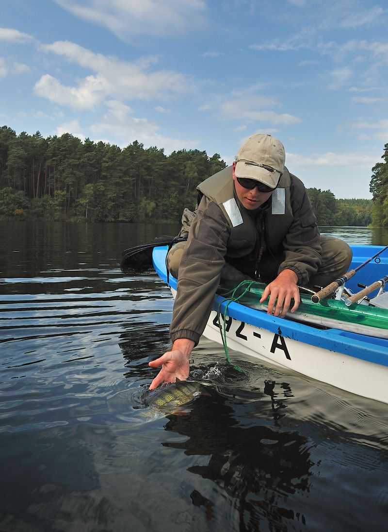 ideą zawodów było uwalnianie złowionych ryb.s.jpg