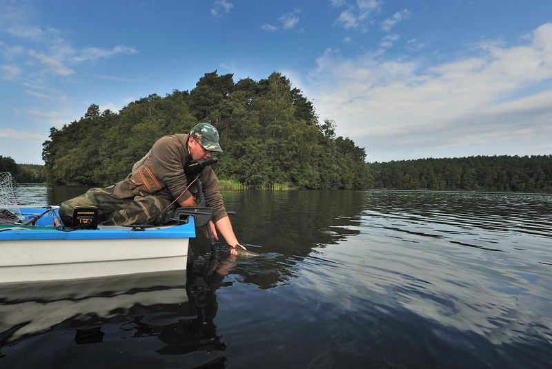 wypuszczenie dorodnego szczupaka.s.jpg