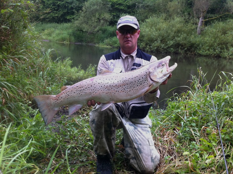 91 cm 8 kg.jpg