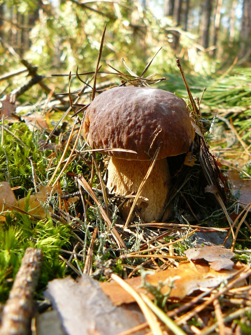 P1140363.JPG