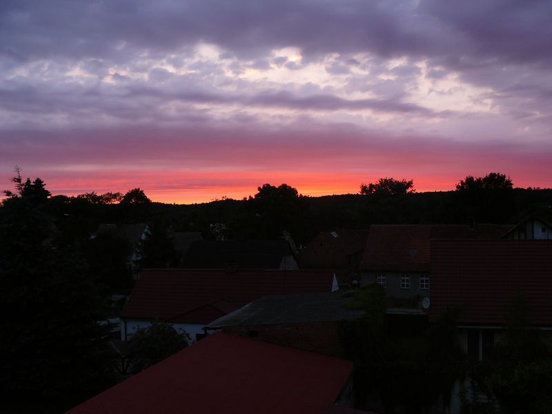 P1110662.JPG