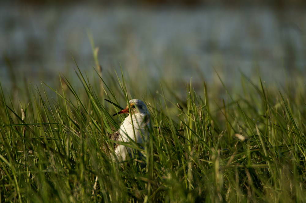 PICT0390_zmień rozmiary.JPG