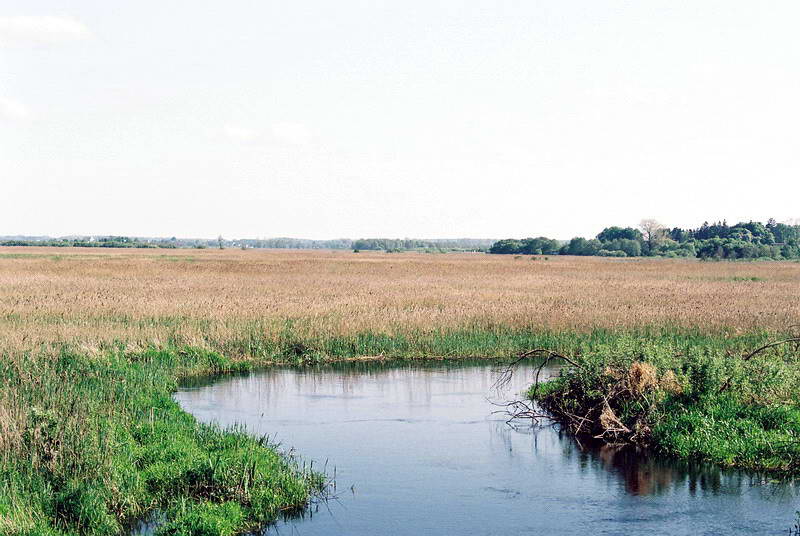 F1000002.jpg