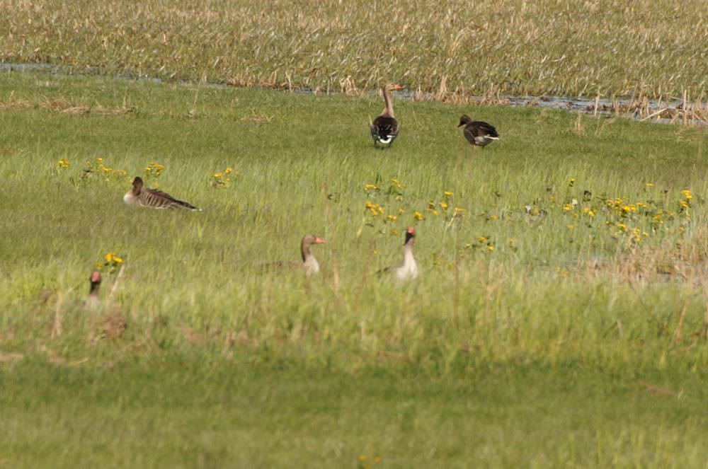 PICT0090a_zmień rozmiary.jpg