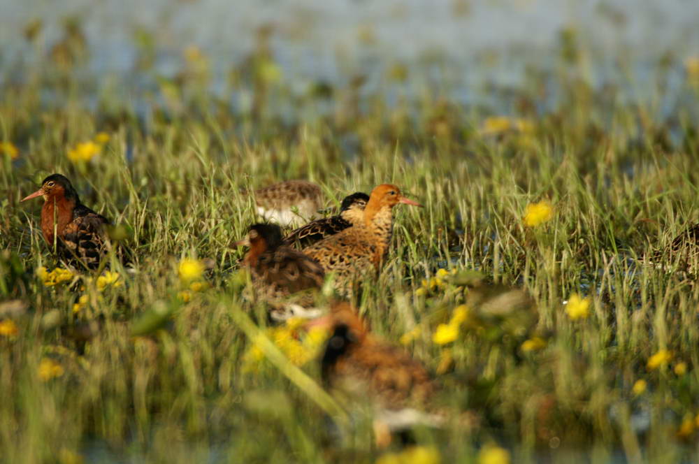 PICT0363_zmień rozmiary.JPG