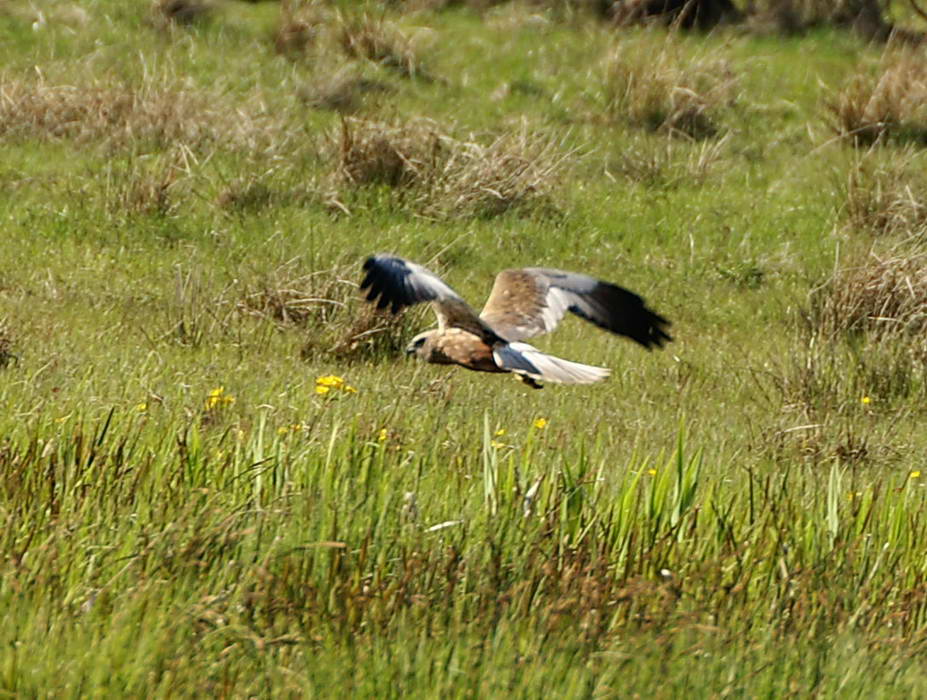 PICT0132a_zmień rozmiary.jpg