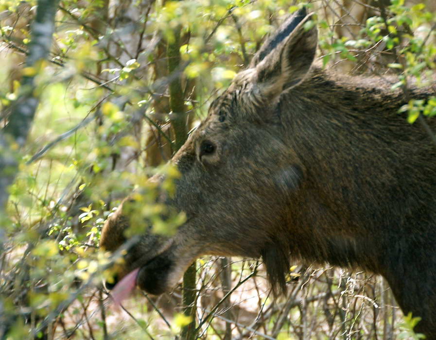 PICT0440a_zmień rozmiary.jpg