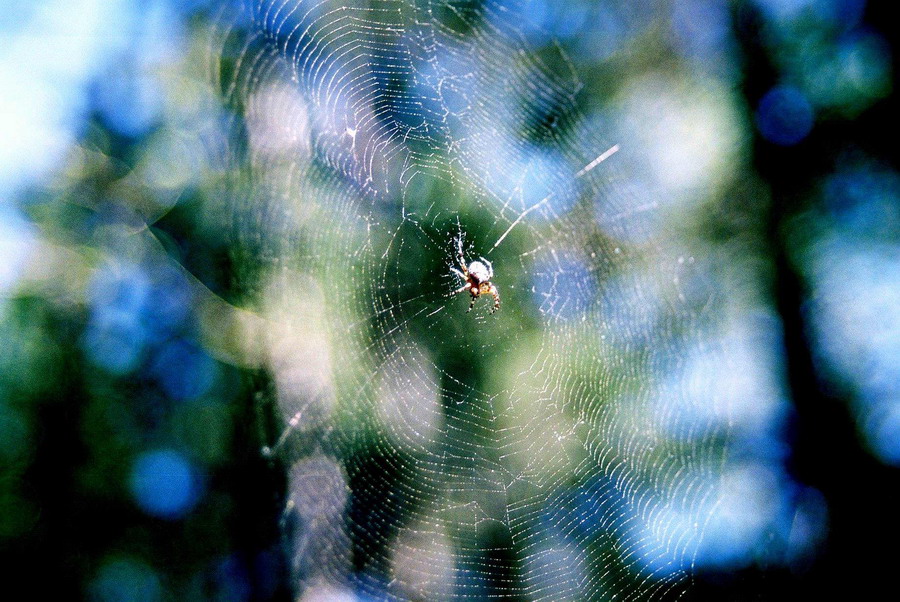 154_zmień rozmiary.jpg