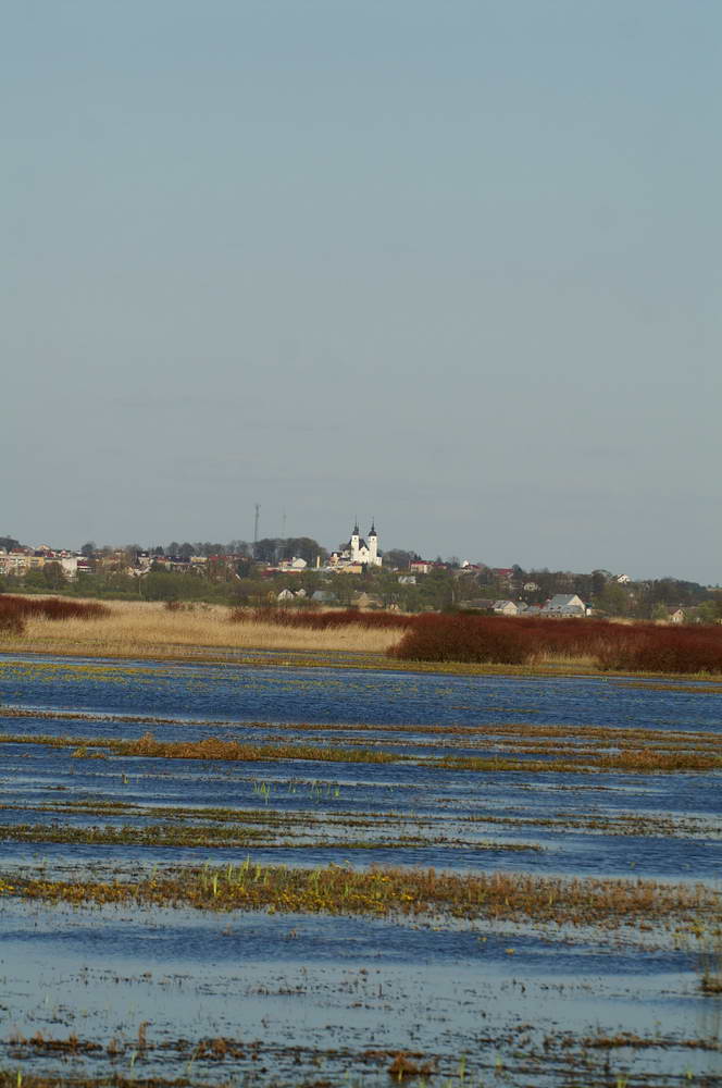 PICT0243_zmień rozmiary.jpg