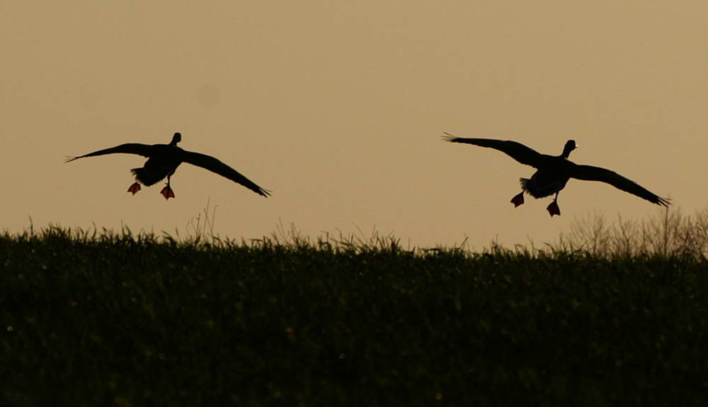 PICT0277a_zmień rozmiary.jpg