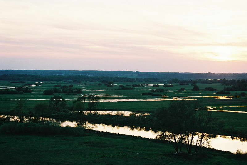 F1000010.jpg