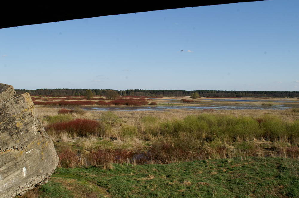 PICT0186_zmień rozmiary.JPG