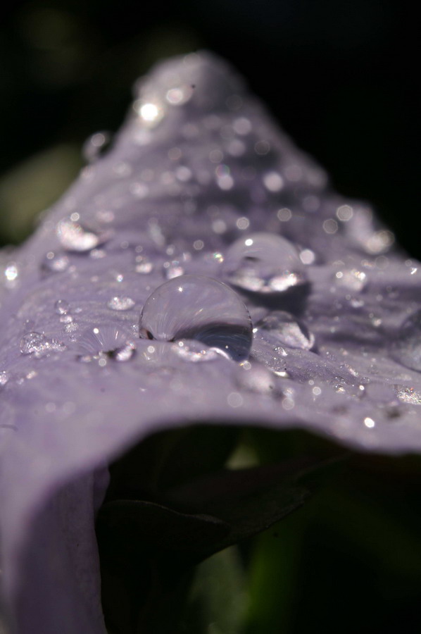 PICT2933_zmień rozmiary.jpg