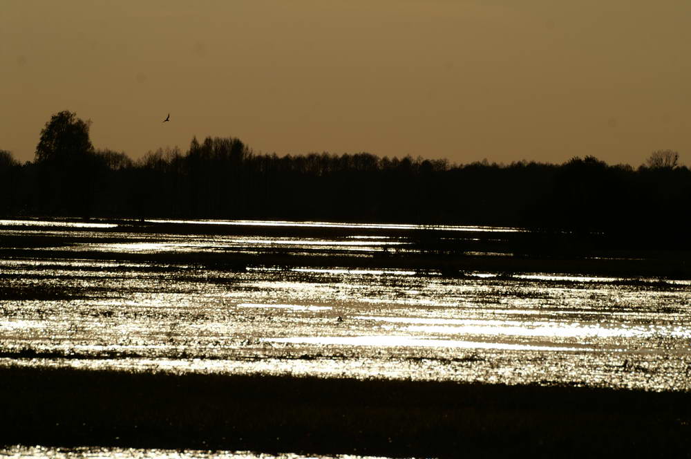 PICT0265_zmień rozmiary.JPG