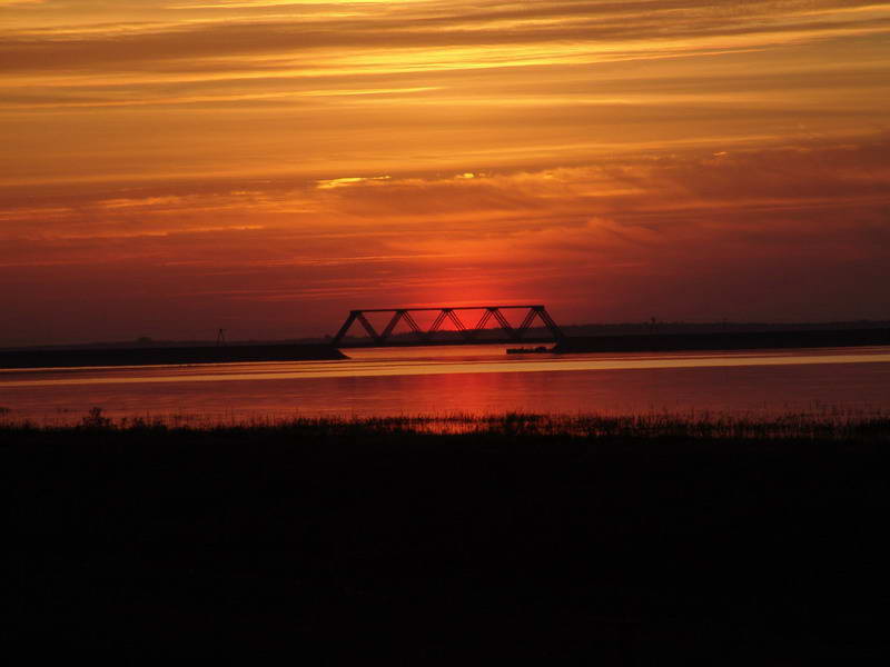 DSC08464.jpg