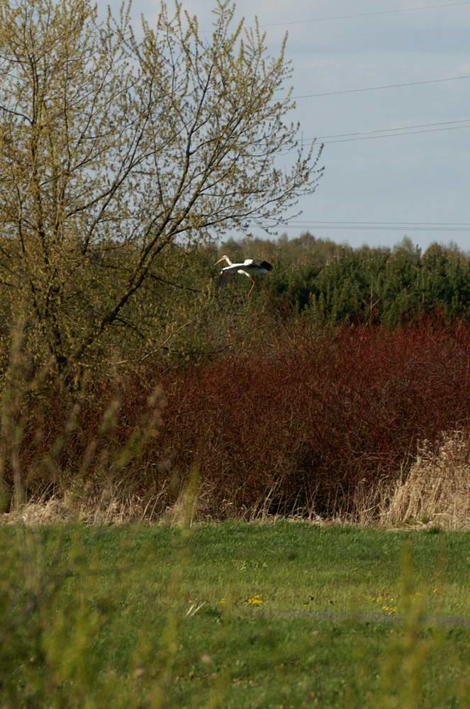 PICT0175a_zmień rozmiary.jpg