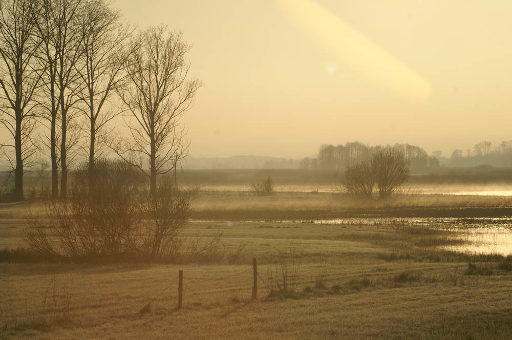 PICT0313_zmień rozmiary.JPG