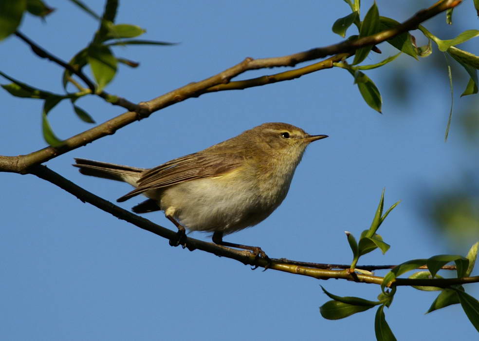 PICT0205a_zmień rozmiary.jpg