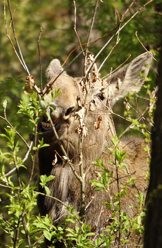PICT0019a_zmień rozmiary.jpg