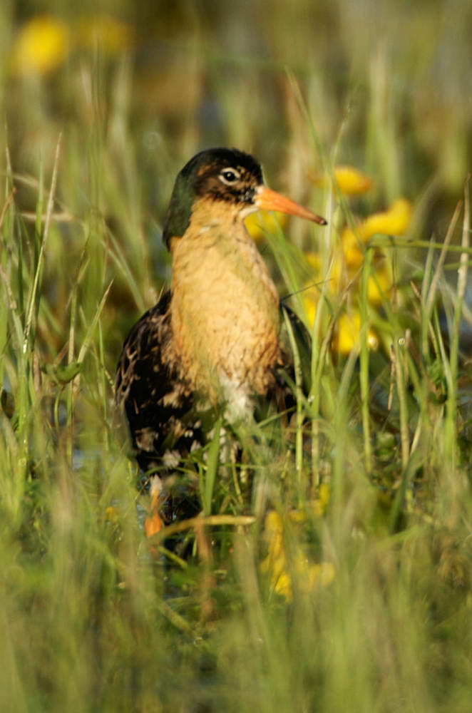 PICT0365a_zmień rozmiary.jpg