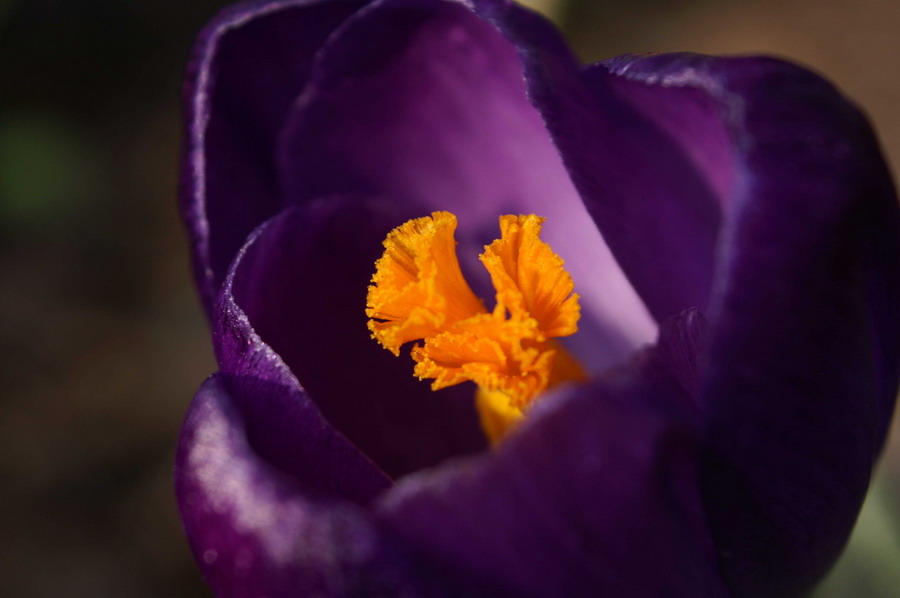 PICT0006_zmień rozmiary.jpg