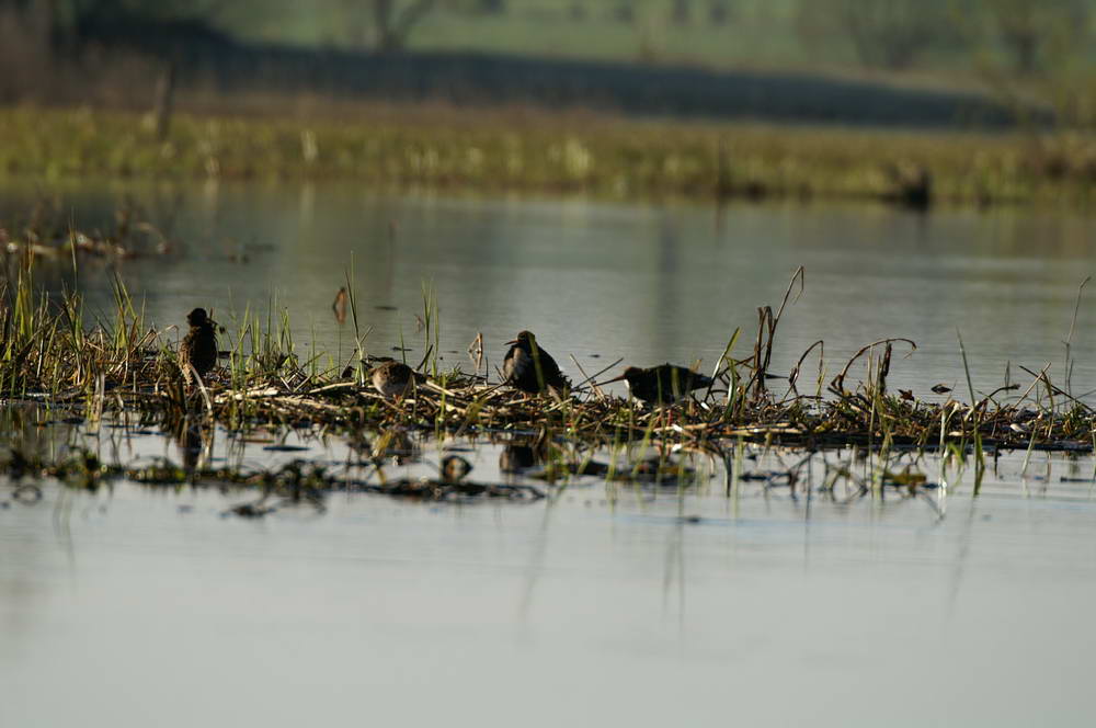 PICT0402_zmień rozmiary.JPG