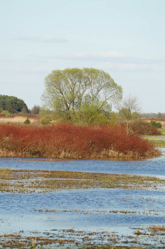 PICT0242_zmień rozmiary.jpg