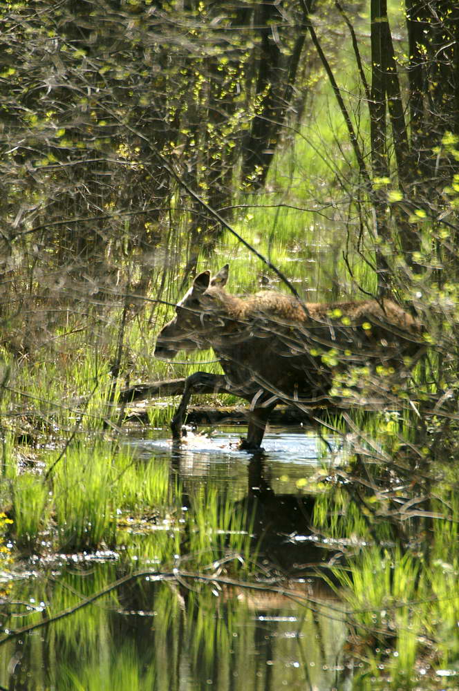 PICT0054a_zmień rozmiary.jpg