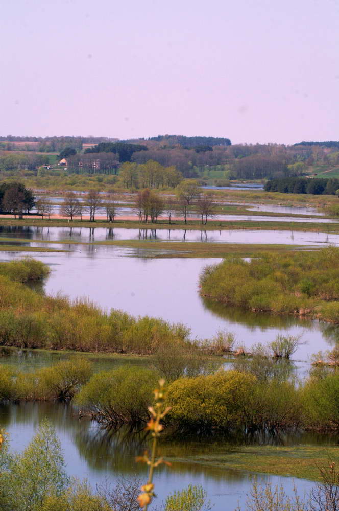 PICT0058a_zmień rozmiary.jpg