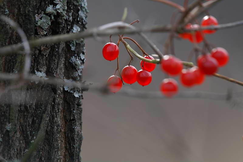 PICT0720.jpg