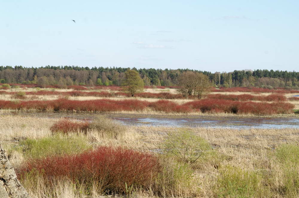 PICT0185_zmień rozmiary.JPG