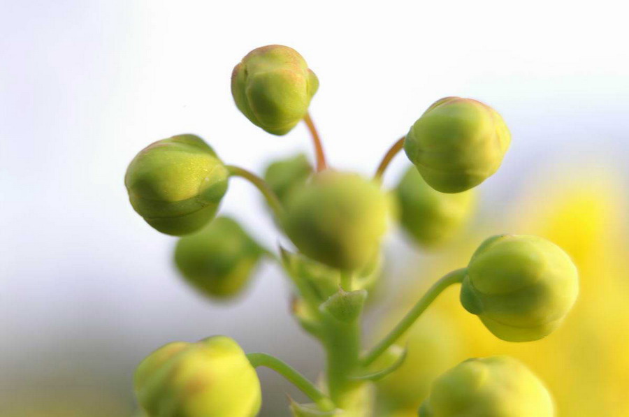 PICT0036_zmień rozmiary.jpg