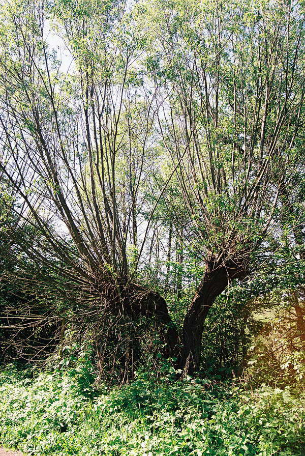 F1000028.jpg