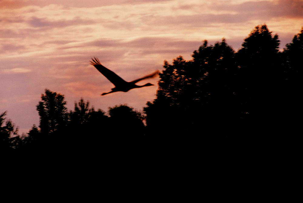F1000014.jpg
