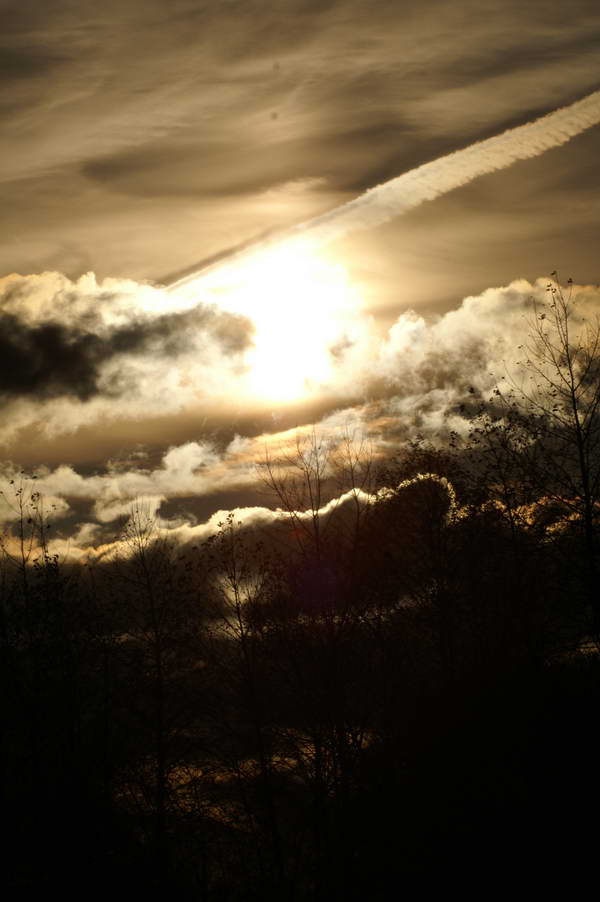 PICT0840.jpg
