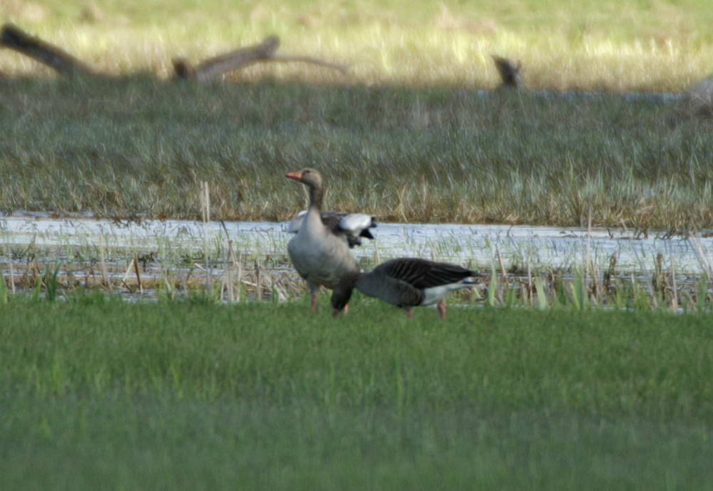 PICT0114a_zmień rozmiary.jpg