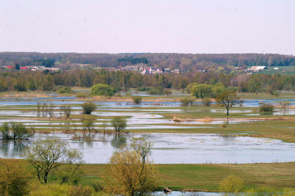 PICT0070a_zmień rozmiary.jpg