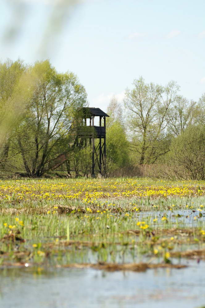 PICT0111_zmień rozmiary.jpg