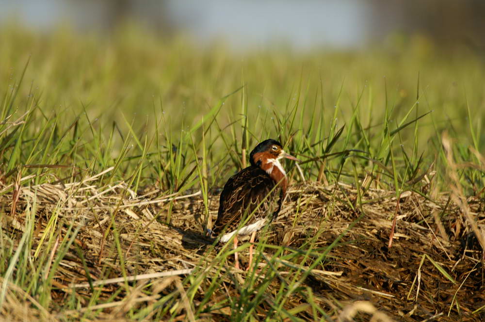 PICT0383_zmień rozmiary.JPG