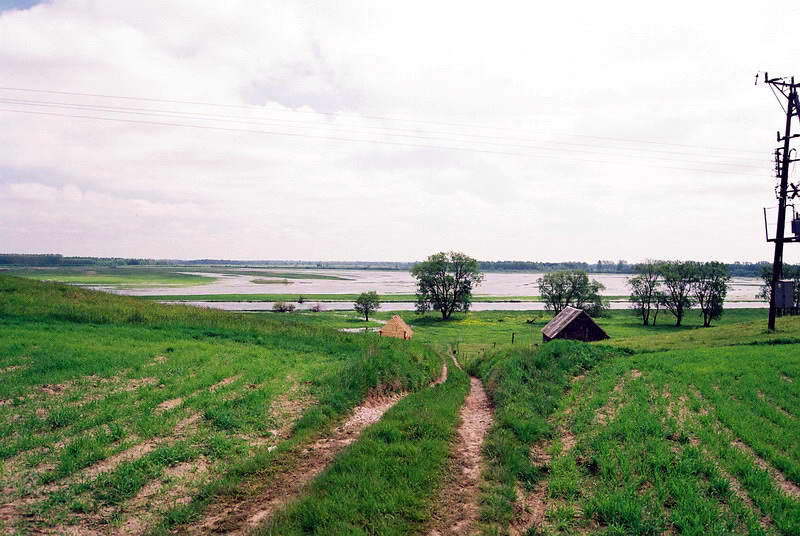 F1000001.jpg