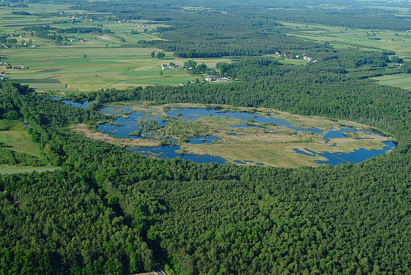 Rezerwat_przyrody_Bagno_Pogorzel.jpg