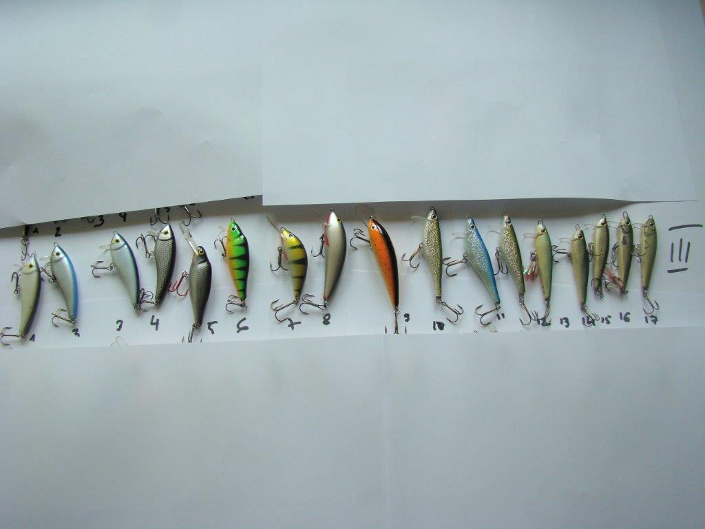 Tablica nr 1 Rząd III Gloog i Boleniowe Hand Made.jpg