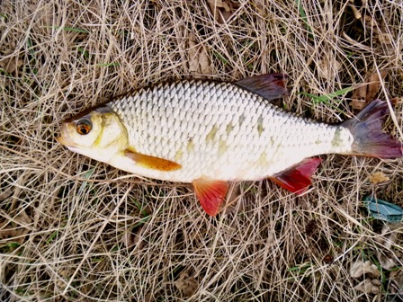 P1000891.JPG