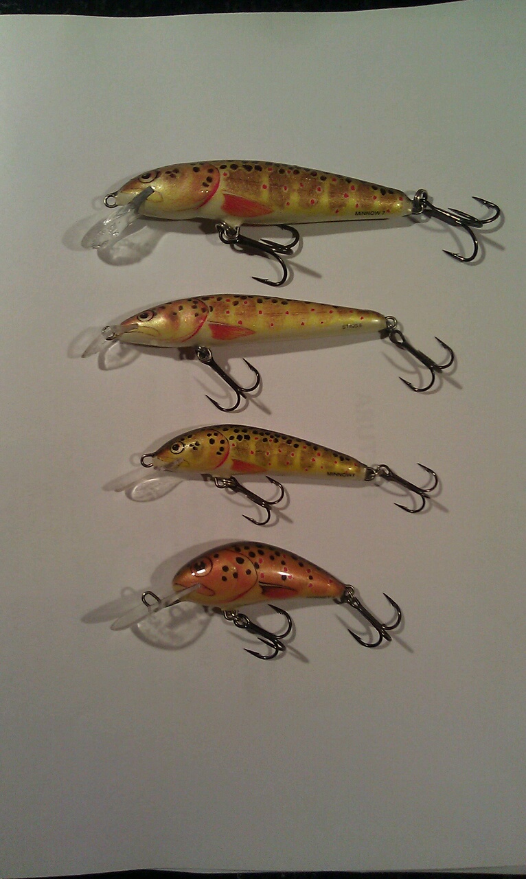 salmo.jpg
