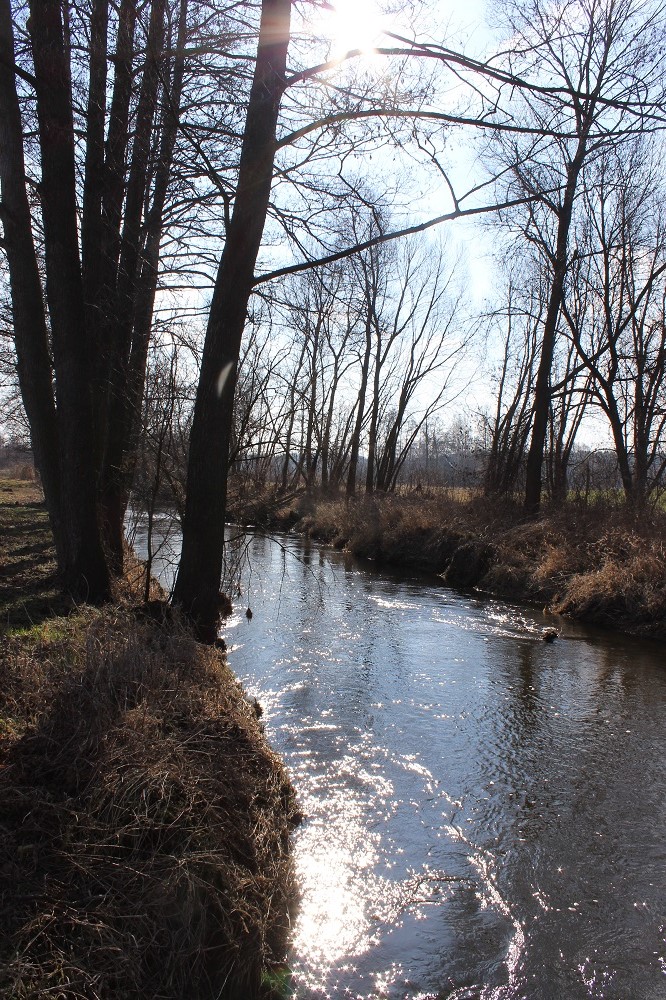 IMG_0667 - Kopia.JPG