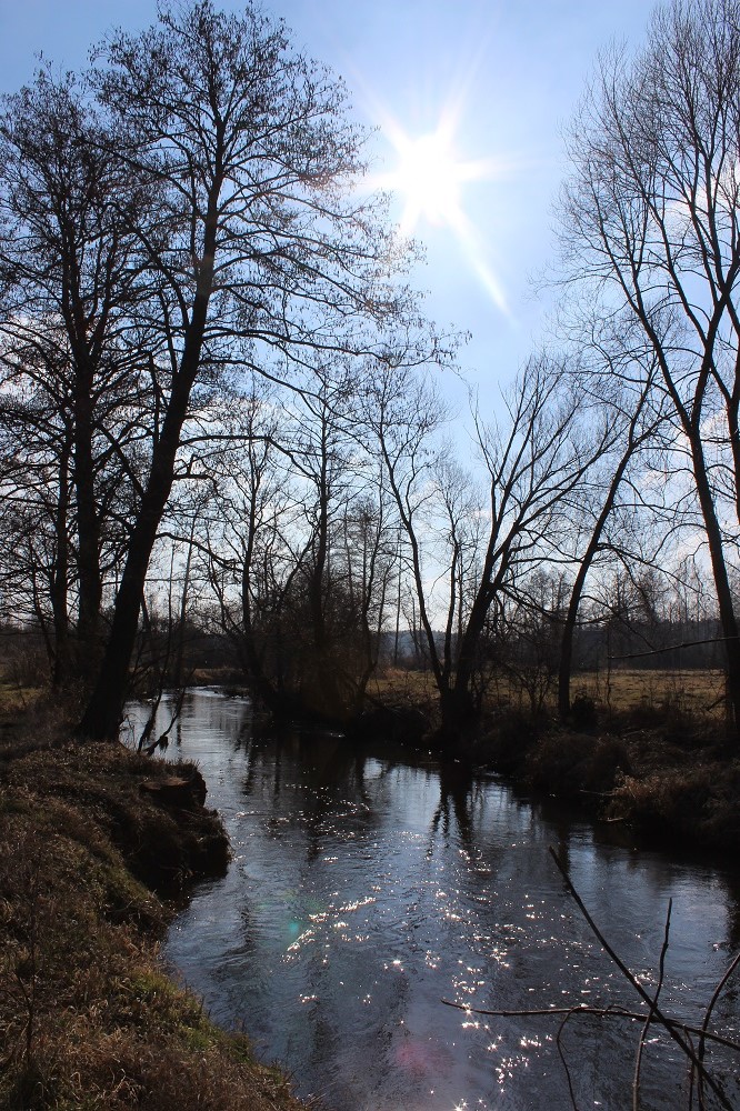 IMG_0670 - Kopia.JPG